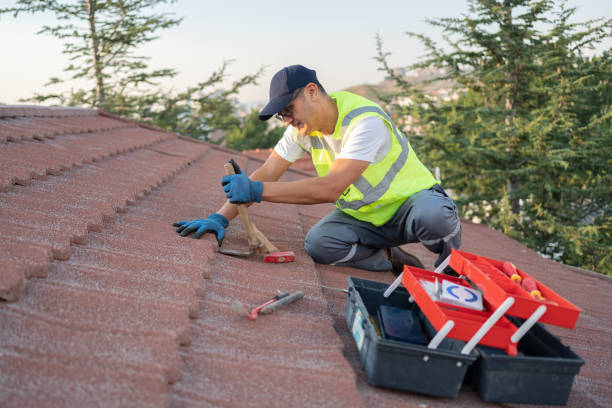 Best Roof Leak Repair  in La Grange, KY